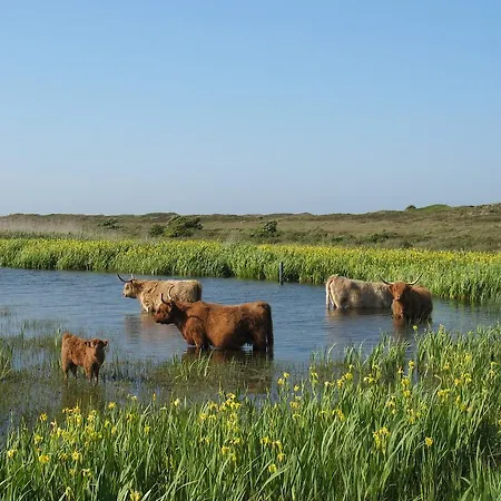 Penzion Logies De Sering Texel De Koog (Texel)