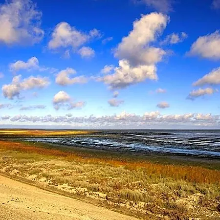 Logies De Sering Texel Guest house 4*