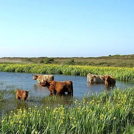 Logies De Sering Texel 4*