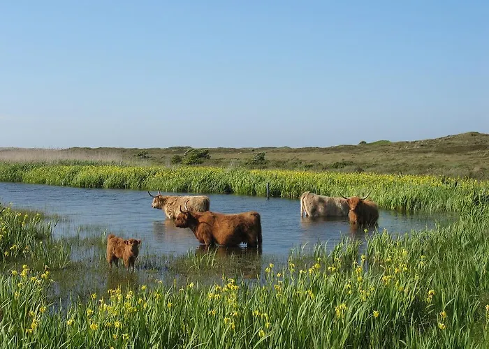 Gasthuis De Sering Texel De Koog (Texel)