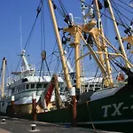 Logies De Sering Texel Penzion