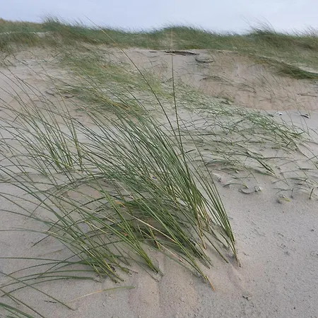 Logies De Sering Texel Guest house