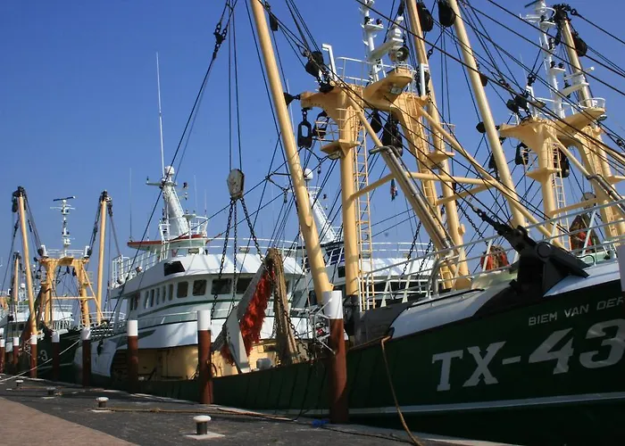 Logies De Sering Texel Guest house